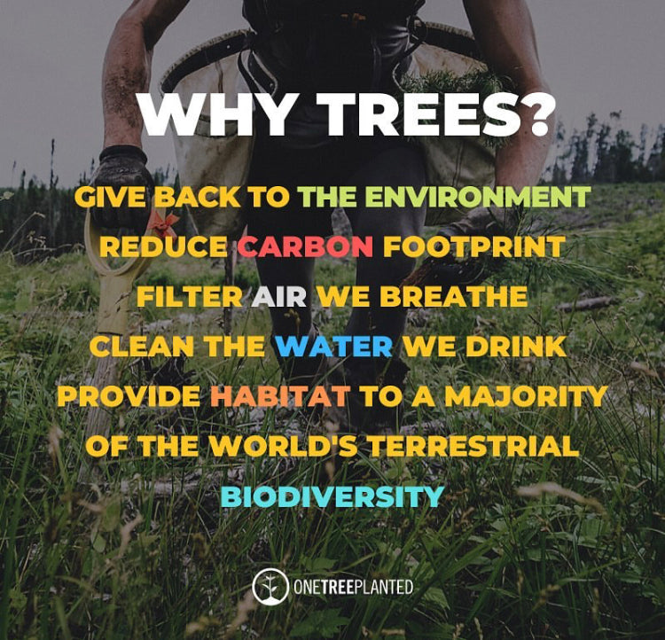 One Tree Planted