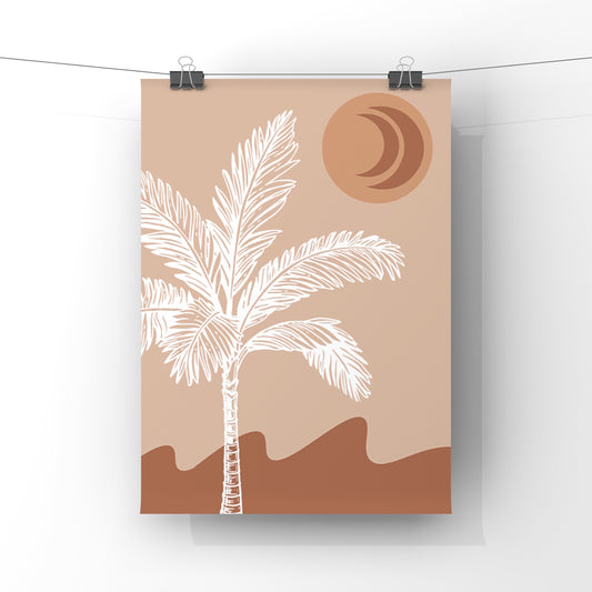 Moonlight Beach Palms